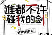 《谁都不许碰我的剑》周长安风珀小说免费阅读完整版-推书机