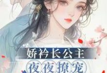 娇矜长公主夜夜撩宠冷心暗卫小说的免费电子版在哪里可以下载或阅读？-推书机
