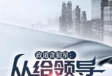 小说《政道贪狼星:从给领导平反开始》章节免费阅读-推书机