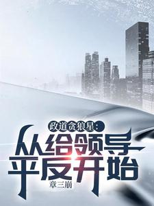 小说《政道贪狼星：从给领导平反开始》章节免费阅读