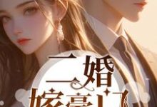二婚嫁豪门，渣男前夫悔哭了沈岚小说大结局免费试读-推书机