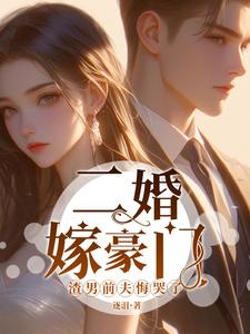 二婚嫁豪门，渣男前夫悔哭了沈岚小说大结局免费试读