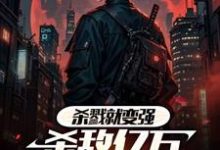 已完结小说《杀戮就变强,杀敌亿万成至高武神》章节在线阅读-推书机