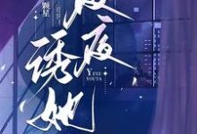 完结版《夜夜诱她》章节阅读-推书机