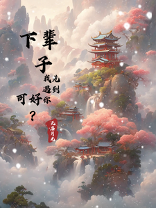 下辈子，我先遇到你，可好？完整版小说，下辈子，我先遇到你，可好？最新章节