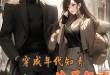 已完结小说《穿成年代知青,奋斗不如恃美行凶》章节在线阅读-推书机