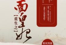 重生之双面皇妃小说全文哪里可以免费看？-推书机