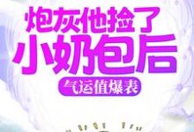 炮灰他捡了小奶包后，气运值爆表这本小说完结了吗？免费查看最新章节-推书机