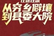 仕途狂飙：从穷乡僻壤到县委大院完整版小说免费阅读，仕途狂飙：从穷乡僻壤到县委大院小说-推书机