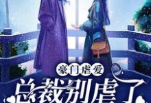 豪门虐爱：总裁别虐了，夫人已婚了这本小说怎么样？免费在线阅读试试-推书机