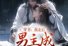 穿书：我走后，男主成黑莲花了小说完结版章节免费阅读-推书机
