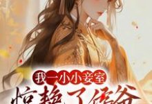 我一小小妾室，惊艳了侯爷很合理吧小说完结版章节免费阅读-推书机