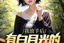 《我放手后，有白月光的女友后悔了》小说江辰章节章节免费在线阅读-推书机
