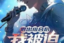 苏晨小说退出组合后，我被迫成为顶流！在线阅读章节-推书机