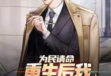 为民请命，重生后我走上官场巅峰叶正刚许晓情小说免费阅读-推书机
