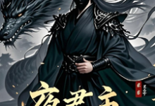 夜君主完整版小说免费阅读，夜君主小说-推书机