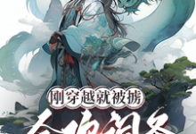 《刚穿越就被掳，合欢词条什么鬼？》小说林烨章节章节免费在线阅读-推书机