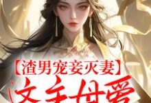 完结版《渣男宠妾灭妻，这主母爱谁当谁当！》章节阅读-推书机