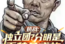 抗战：独立团？分明是重装合成旅李成虎李云龙小说在线章节免费阅读-推书机