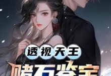 李秋阳艾晴柔完整版《透视天王:赌石鉴宝财色无双》小说免费阅读-推书机