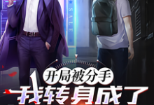 陈伟柳如烟完整版小说《开局被分手，我转身成为万亿富豪》免费阅读-推书机
