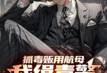 抓毒贩用航母？我缉毒警无限摇人秦峰小说完结版章节在线阅读-推书机