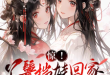《惊!丫鬟揣娃回家,走出康庄大道》小说大结局免费试读 柳月红暗香小说-推书机