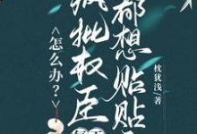 顾轻舟宋夔小说怎么办?疯批权臣每天都想贴贴我在线阅读章节-推书机