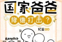 小说《潜规则,你让国家爸爸降维打击?》完整版章节免费阅读-推书机