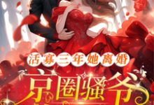 活寡三年她离婚，京圈骚爷悔红眼完整版小说，活寡三年她离婚，京圈骚爷悔红眼免费阅读-推书机