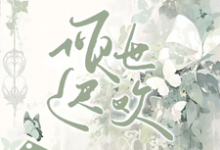 倾世迟欢这本小说怎么样？免费在线阅读试试-推书机