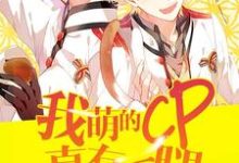 苏玟小说完整版《我萌的cp真有一腿》免费阅读-推书机