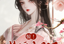 完结版《惊,替嫁太子妃竟是神医?》章节阅读-推书机