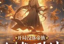 开局没落帝族，但我能回到过去陆羽，开局没落帝族，但我能回到过去章节在线阅读-推书机