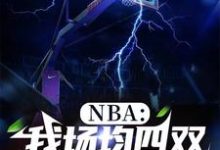 NBA:我场均四双,得分为零小说全文阅读需要付费吗?寻找免费资源-推书机
