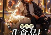 已完结小说《穿六零开食品厂,惹上太子爷倒追》最新章节-推书机