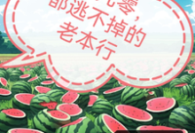 完整版《回到九零,都逃不掉的老本行》小说免费阅读-推书机