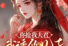 宋絮晚季墨阳小说你抢我夫君，我诱你儿子，不能亏章节免费阅读-推书机