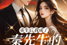 重生后,我成了秦先生的白月光小说有没有完整的免费版本在线阅读?-推书机
