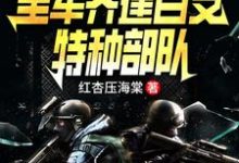 大国利刃:全军齐建百支特种部队章节免费在线阅读,林川唐林完结版-推书机