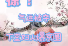完结版《惊!气运被夺,下堂妇火爆京圈》在线免费阅读-推书机