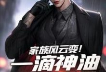 石宽小说家族风云变！一滴神油搅动乾坤在线阅读章节-推书机