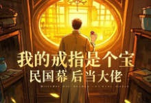 我的戒指是个宝,民国幕后当大佬(陆修)完整版在线免费阅读-推书机