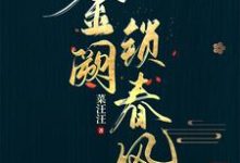 金阙锁春风小说无弹窗阅读的网站推荐-推书机