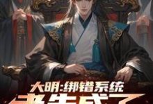 哪里能找到大明:绑错系统,老朱成了我岳父小说的最新更新和免费章节?-推书机