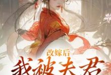 改嫁后,我被夫君硬宠上天小说的免费阅读版本在哪里可以找到?-推书机