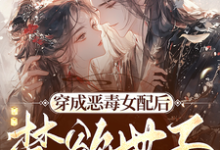 《穿成恶毒女配后,禁欲世子被撩疯》小说章节列表免费试读,顾惜音裴琛小说在线阅读-推书机