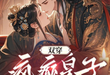 寻找能够免费阅读双穿,疯癫皇子靠打劫建国了小说的平台-推书机
