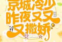 已完结小说《哇枭!京城冷少昨夜又又又撒娇!》章节在线阅读-推书机