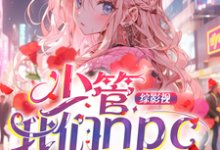 综影视：少管我们npc免费阅读，综影视：少管我们npc章节在线阅读-推书机
